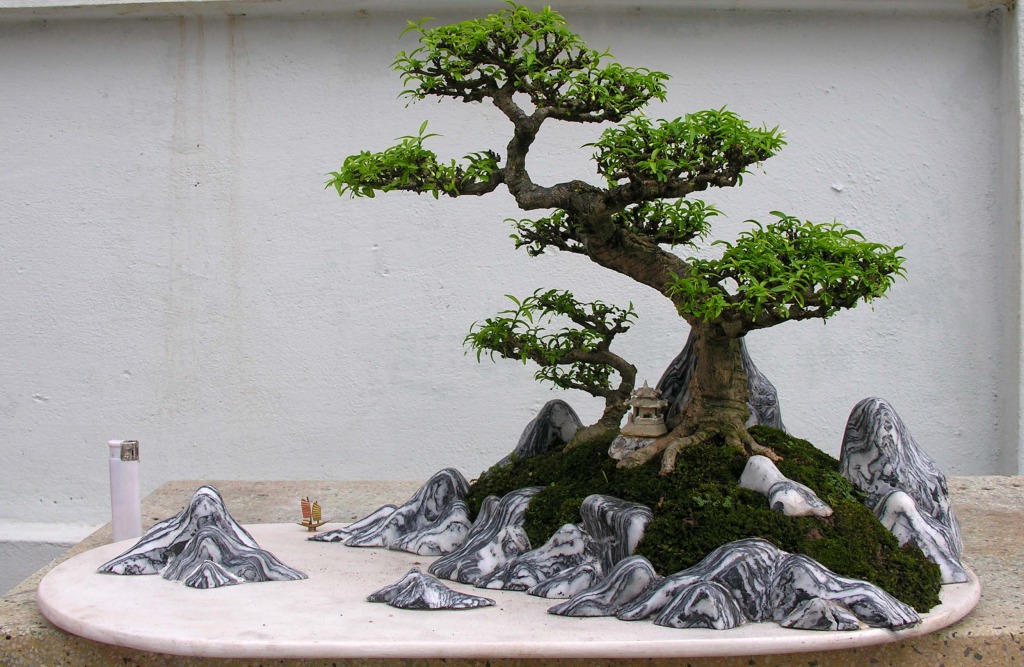 Cách tạo dựng hòn non bộ bonsai nghệ thuật 2